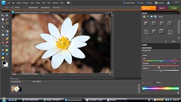 Photoshop Elements Tutorial: Black and White Image with Partial Colour