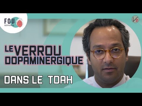 Le Verrou Dopaminergique dans le TDAH