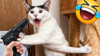 When God sends you a funny cat and dog 🤣 Funniest cat and dog ever 😹 #6