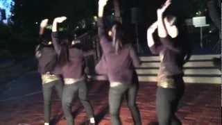 LTA Epsilon Alpha Chapter - Kennesaw State University - Stroll Like An Alpha 2012 Wealth