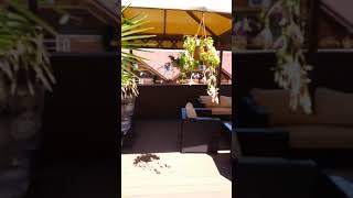 Terasa Max International #rasnov #brasov #romania #castle  #travel #place