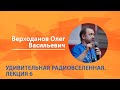 Верходанов Олег. Удивительная радиовселенная. Лекция 6 из 6