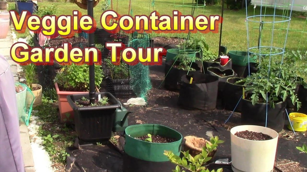 Veggie Container Garden Update and Tour (May 2023 Garden Update) - YouTube