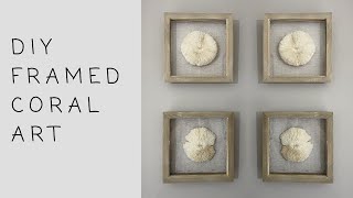 FRAMED CORAL WALL ART | How to DIY Easy Natural Coral Wall Decor | Shade Shannon