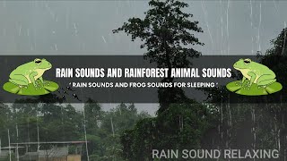 Rain Sounds And Rainforest Animal Sounds | Rain Sounds and Frog Sounds for Sleeping, ASMR