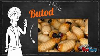 10 Makanan Tradisi Di Sabah