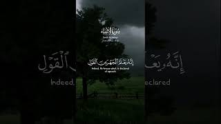 قل إنما يوحى إلي أنما إلهكم إله واحد فهل أنتم مسلمون | عبدالمحسن القاسم