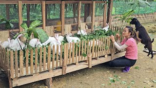 FULL VIDEO: 150 Days Building farm  Free life  gardening  Building life | Farm life