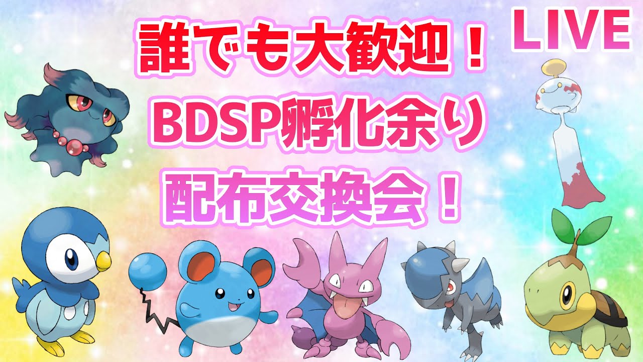 お年玉企画 ポケモンbdsp4v孵化余り配布交換会 ダイパリメイク Youtube