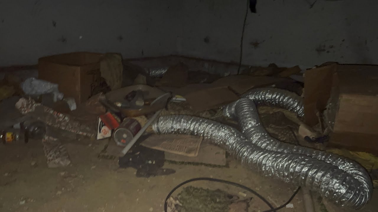 SPIRITS Mini-Sode: Housesitting 2: The Sittening