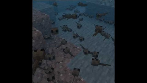 Minecraft Tadpoles #minecraft #shorts #minecraftmemes