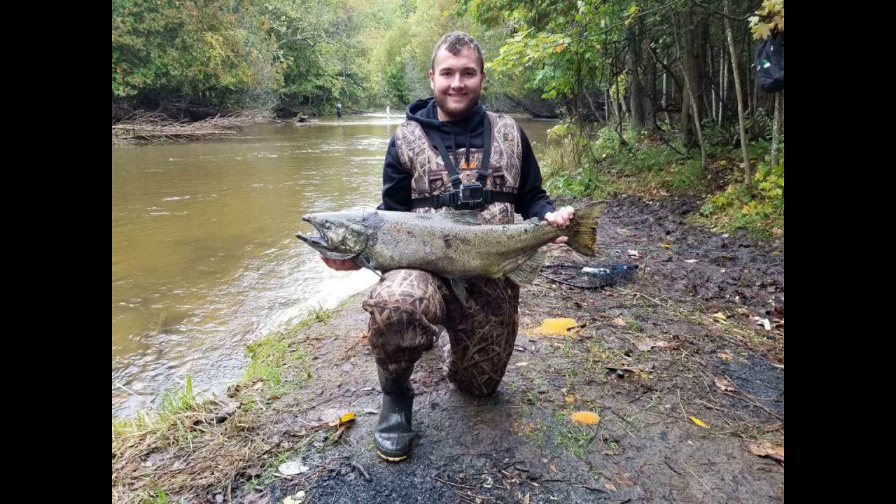 SALMON FISHING (*MUST WATCH*) - YouTube