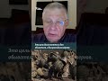 "Война потеряла смысл"