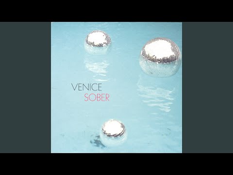 Venice - Wild Dog