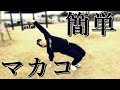 超簡単！？マカコのやり方とコツを紹介！【パルクール＆アクロバット講座】