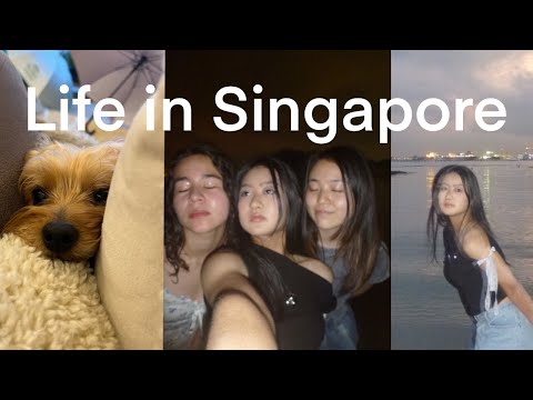 life in singapore 🇸🇬 (ft. sentosa beach 🏖️, gaming with friends 🎮, doggos 🐶 )