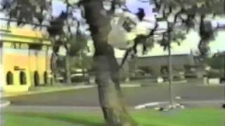 Clowns Full Of Hate. Stray Bikes Part 4