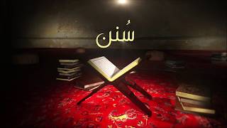 القرآن الكريم هو كتاب هداية وحُكم | سُنن
