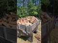 the old ford hauling some wood for the homestead #firewood #homestead #ford #obs #diesel  #woodpile