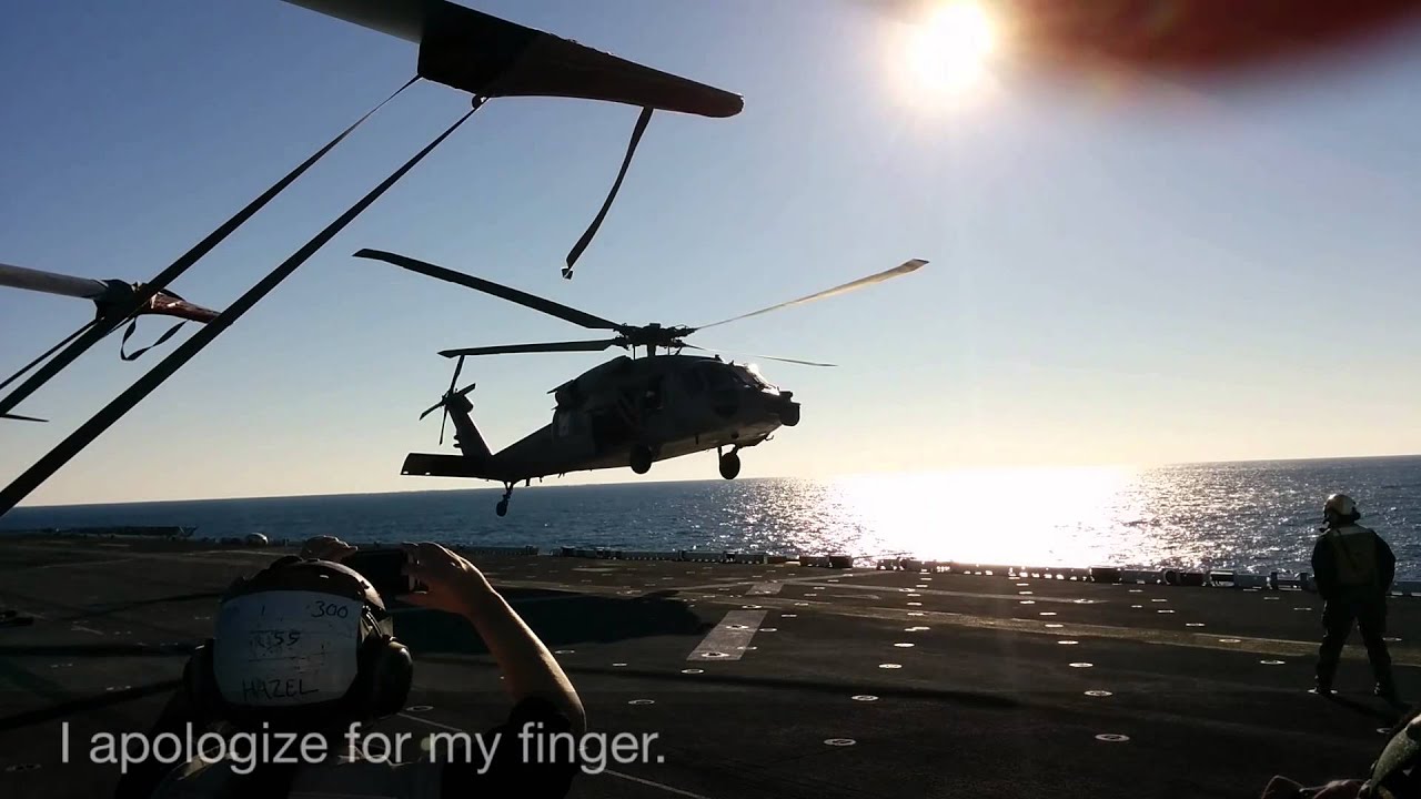 Exercise Bold Alligator 2014 YouTube