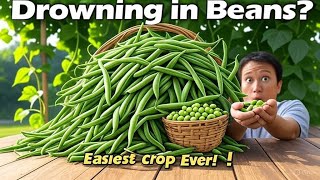 Growing Beans Is So Easy, You'll Drown In The Harvests