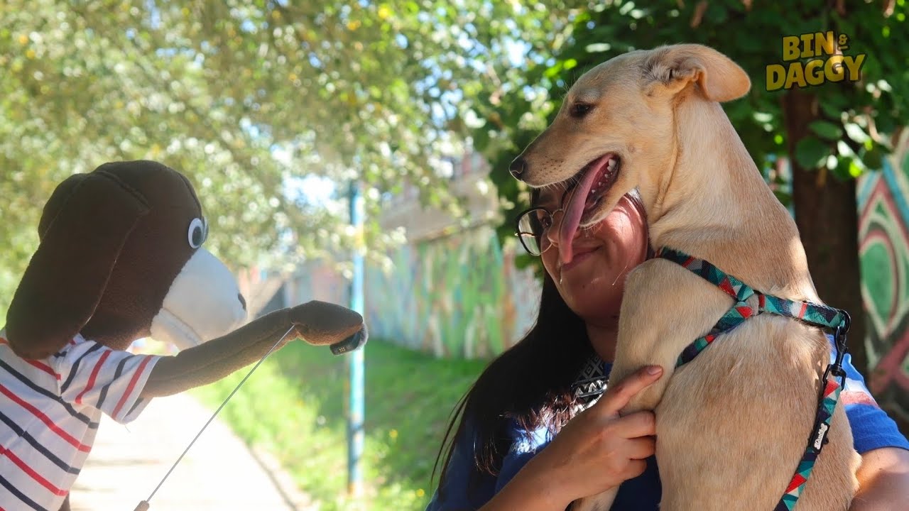 Notas ByD - Paseo de Rescatados (Adopta un amigo) - Bin y Daggy