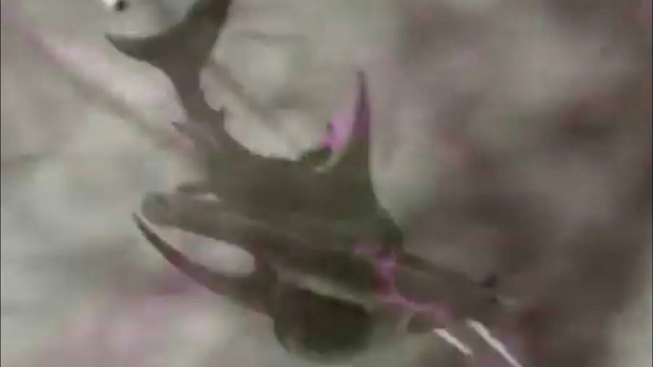 The Last Sharknado: It's About Time [2018] - Giant Hummerhead Shark Screen Time