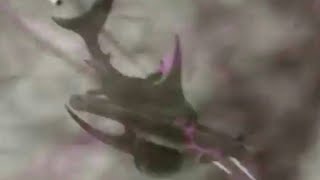 The Last Sharknado: It's About Time [2018] - Giant Hummerhead Shark Screen Time