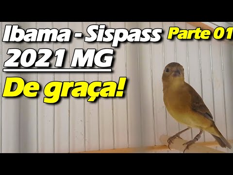 FAZER CADASTRO IBAMA SISPASS MINAS GERAIS MG DE GRAÇA - PARTE 1