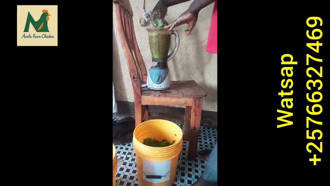 Nguyu Umuti Kama,Uvura Irwara zose zibaho zifata Inkoko(Kandi Nibintu biboneka hariho hose)