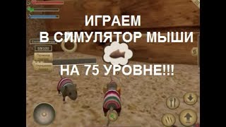 Симулятор мыши онлайн / Играем на 75 уровне Симулятор мыши онлайн / Играем на 75 уровне