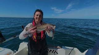 South West Scotland Boat Fishing - 25/04/2026 - Mackerel, ling, cod, pouting, pollack, wrasse
