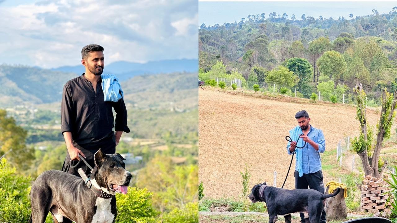 Bought a new rope for the dog🐕‍🦺