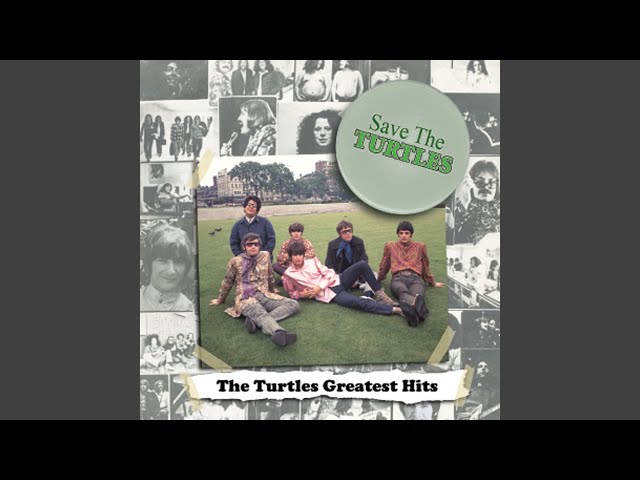 The Turtles - Can I Get To Know You Better