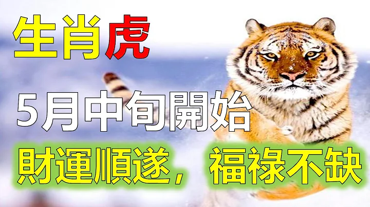 生肖虎有哪些優秀品質，生肖虎5月中旬開始，財氣旺，瑞氣，屬相虎5月中旬運勢順遂，財運小試牛刀，福祿不缺，2023年12生肖運勢，預測十二生肖（鼠、龍、猴、兔）生肖運勢（牛、蛇、雞、豬）生肖運勢 - 天天要聞