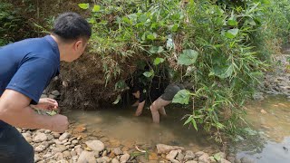 Primitive life: The forest man met a strange girl catching fish, the forest man visited a trap