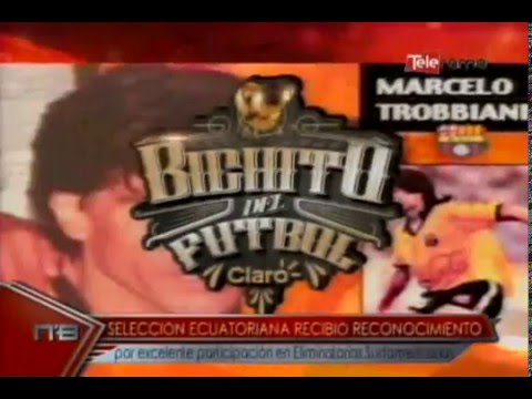 Selección Ecuatoriana recibió reconocimiento por excelente participación en eliminatoria sudamerican