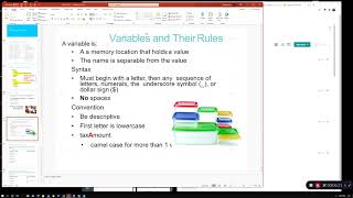 4Javascript Variables