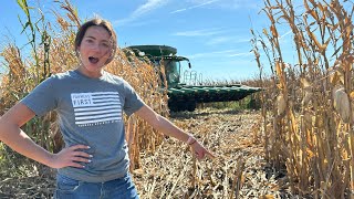 Someone CRASHED Into My Corn Field!