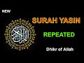 surah yasin repeated  | Surah Yasin  Beautiful