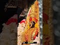 आई तुळजाभवानी 🙏🚩..!!#तुळजाभवानी_प्रसन्न #tulajabhavani #devi #ytshorts #shorts #ad editor 91