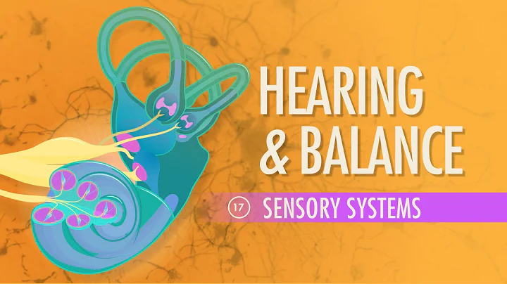 Hearing & Balance: Crash Course Anatomy & Physiology #17 - DayDayNews