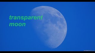 GOAT - "I Became The Unemployment Office" (moon june - september 2023)