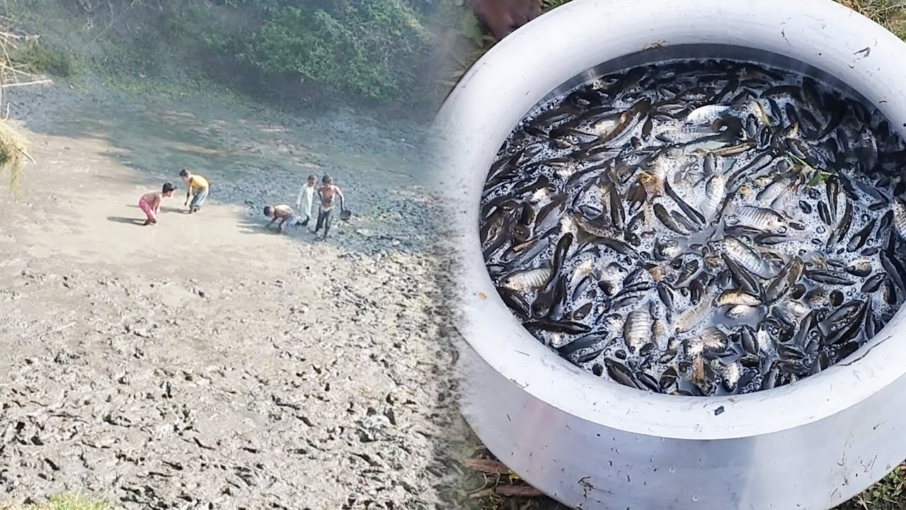 গ্রামের পুকুর থেকে মাছ ধরে ভাগাভাগি করার সুন্দর দৃশ্য।। কি কি মাছ পেলো আজকে।। 