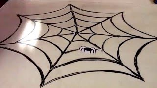 Spider Web Stop-Motion Parametric Equation