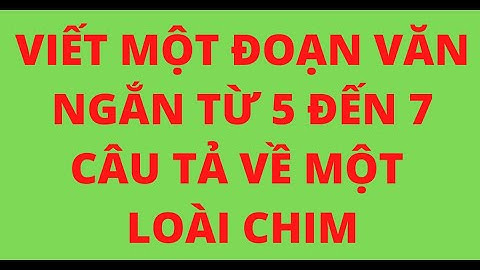 Hãy viết một đoạn văn ngắn từ 5 đến 7 năm 2024