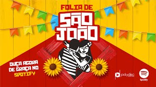 O Melhor São João do Brasil | Festa Junina | Playlist atualizada 2023