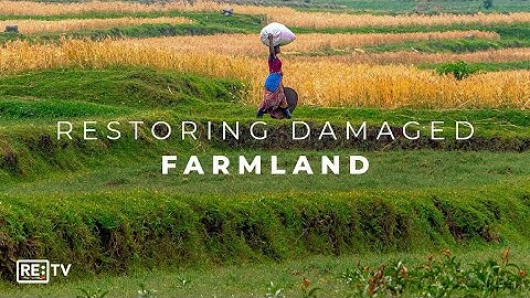 The Innovative Network Regenerating Ecosystems In Rwanda