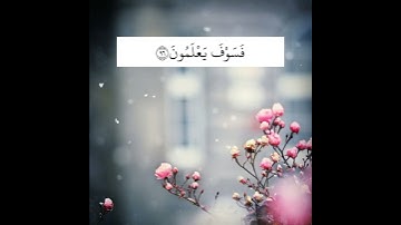 قران كريم / تلاوة خاشعة / حالات واتس اب / هزاع البلوشي ( إِنَّا كَفَيْنَاكَ الْمُسْتَهْزِئِينَ )