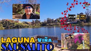 Laguna Sausalito - Viña del Mar - 4K60FPS - Chile